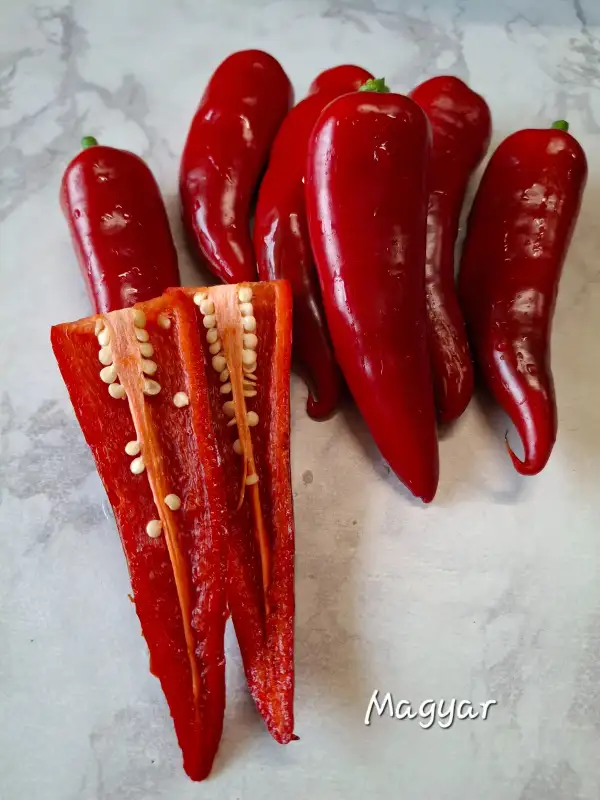 Chili / Paprika: Magyar Paprika