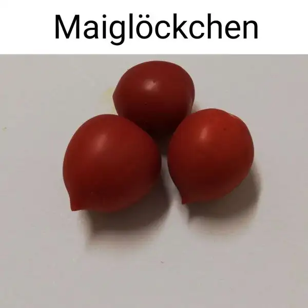 Tomaten: Maiglöckchen