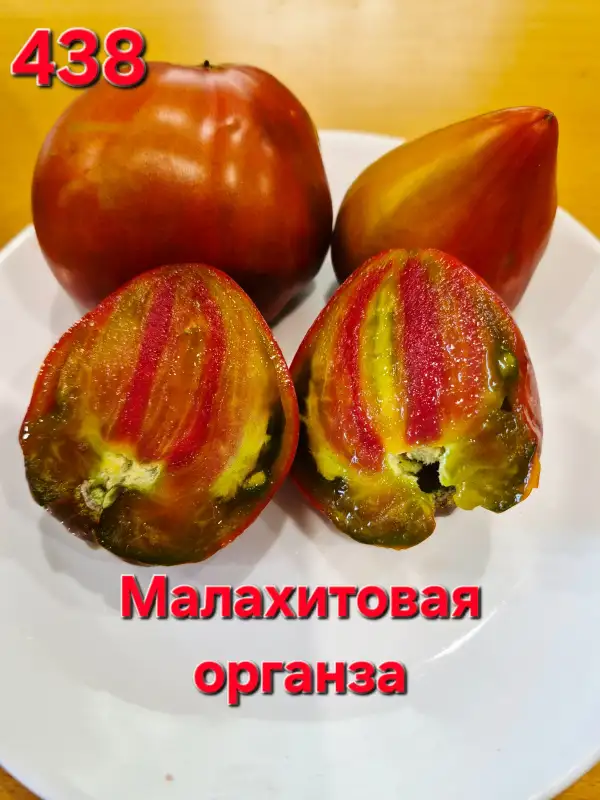 Tomaten: Malachite organza
