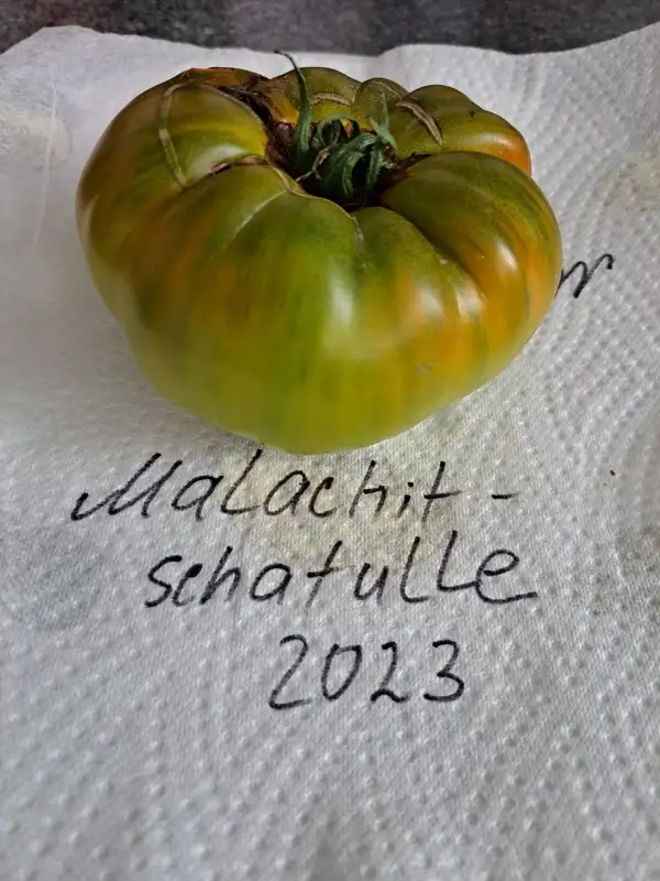 Tomaten: Malachitschatulle