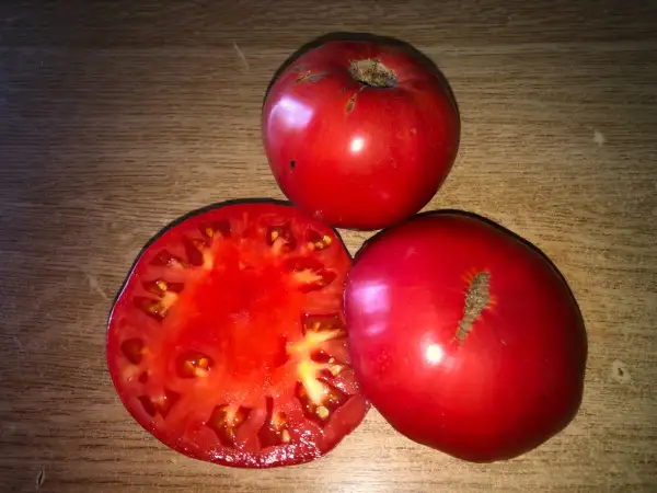 Tomaten: Malagueño