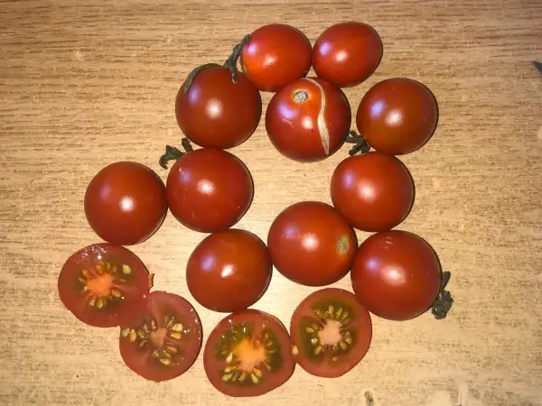 Tomaten: Male Cukrove