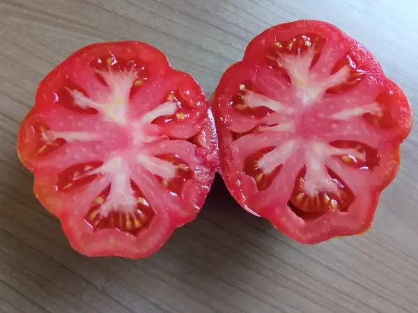 Tomaten: Malea