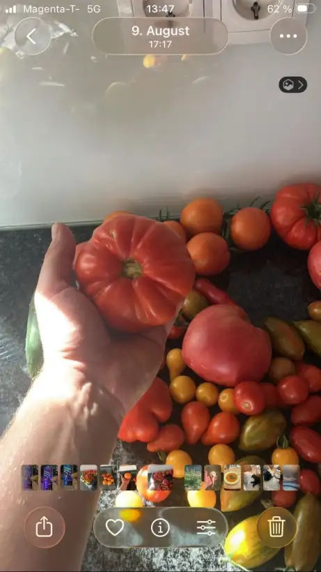 Tomaten: Malea Fleischtomate