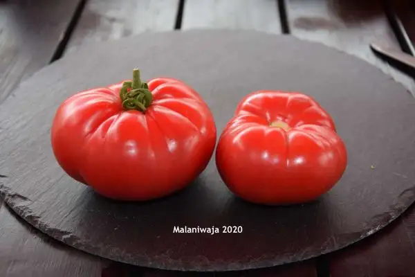 Tomaten: Malinawaja