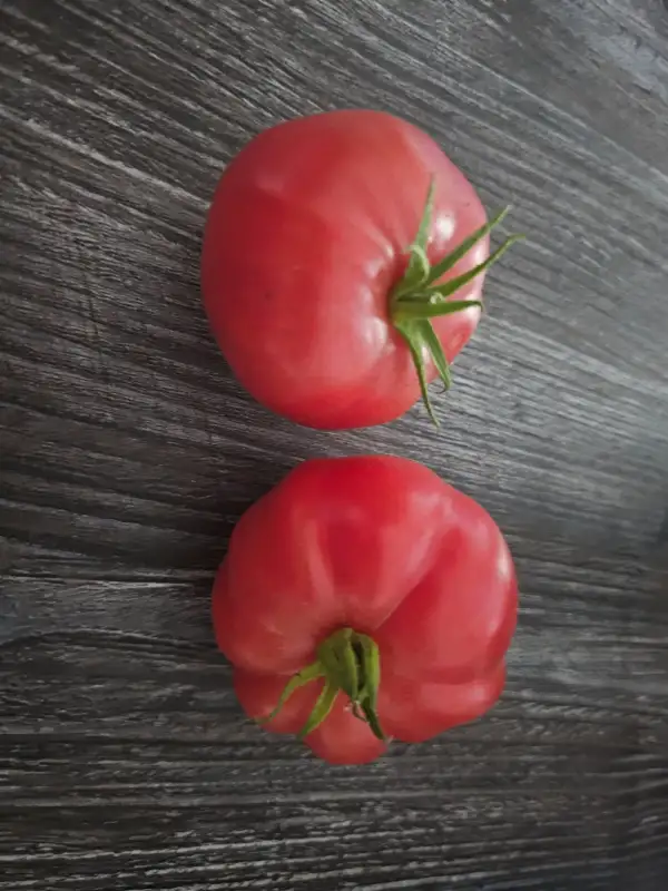 Tomaten: Malinowy