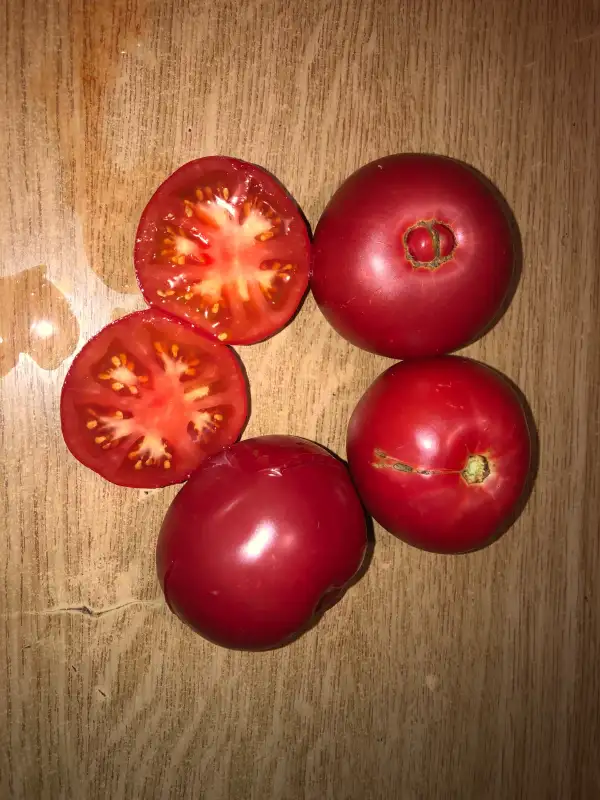 Tomaten: Malinowy Ozharowski