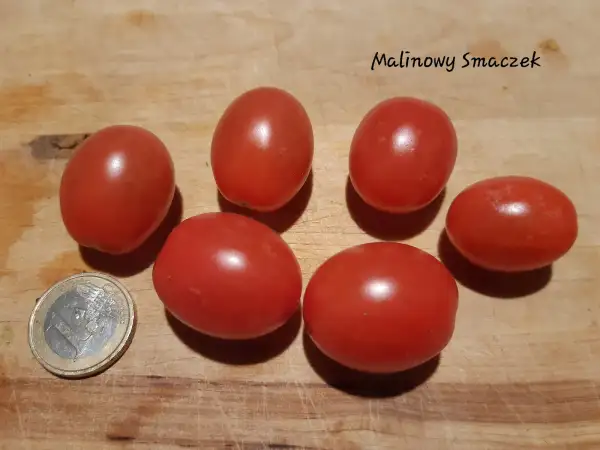 Tomaten: Malinowy Smaczek