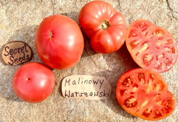 Tomaten: Malinowy Warszawski