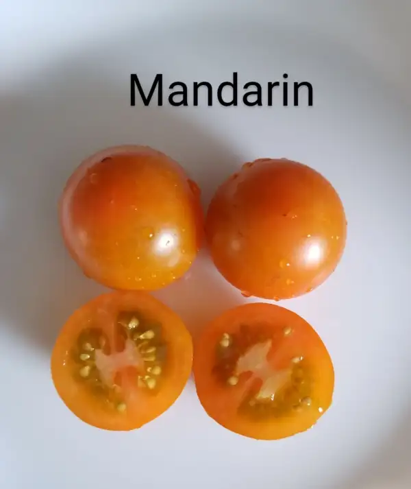 Tomaten: Mandarin,