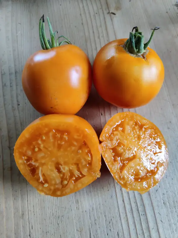 Tomaten: Mandarin
