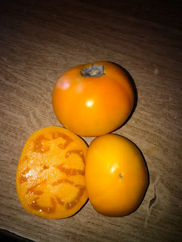 Tomaten: Mandarin Cross