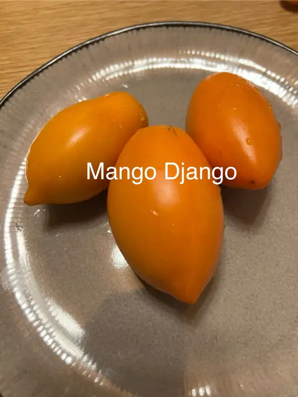 Tomaten: Mango Django