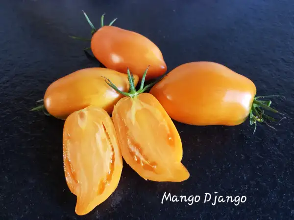 Tomaten: Mango Django