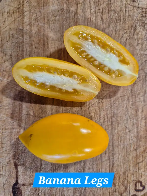 Tomaten: Mango Django