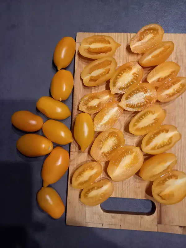 Tomaten: Mango Django