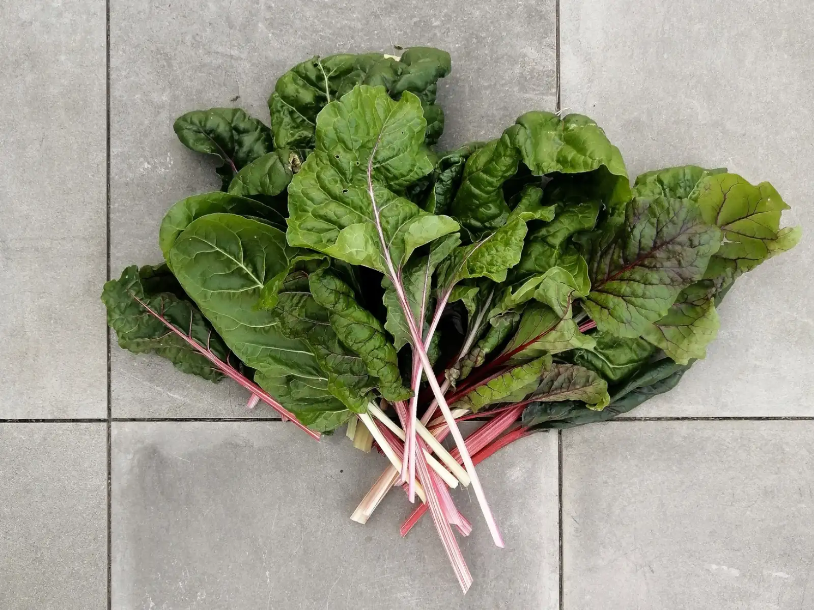 andere Gemüse: Mangold