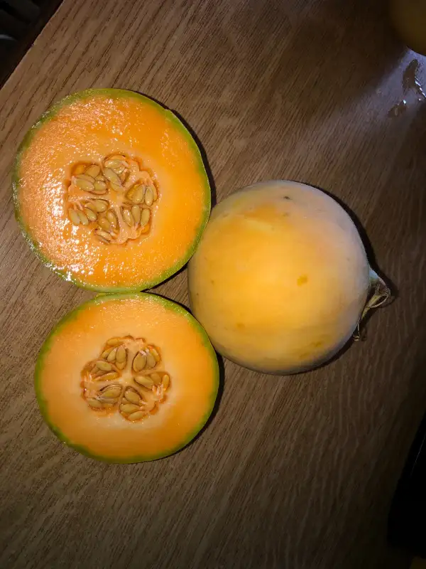 Obst: Mantovano melone