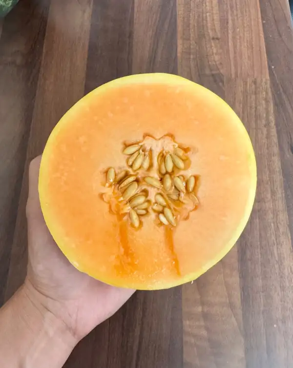 Melonen: Mantua-Melone
