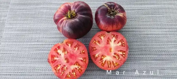 Tomaten: Mar Azul