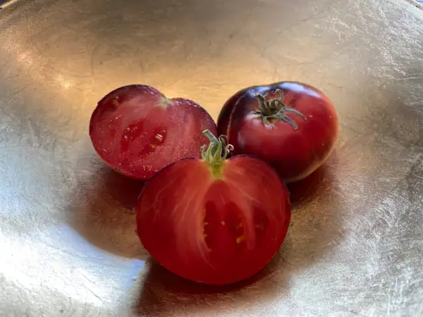 Tomaten: Mar Azul