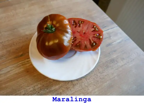 Tomaten: Maralinga
