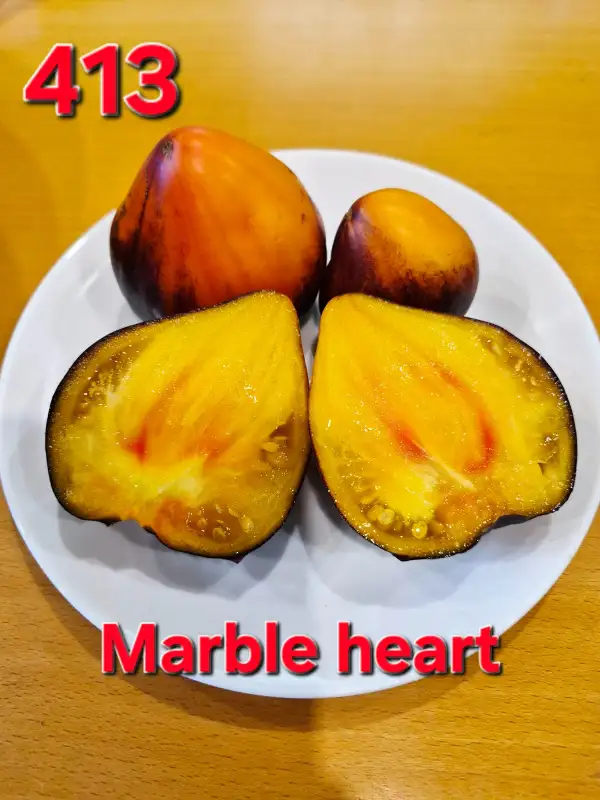 Tomaten: Marble heart