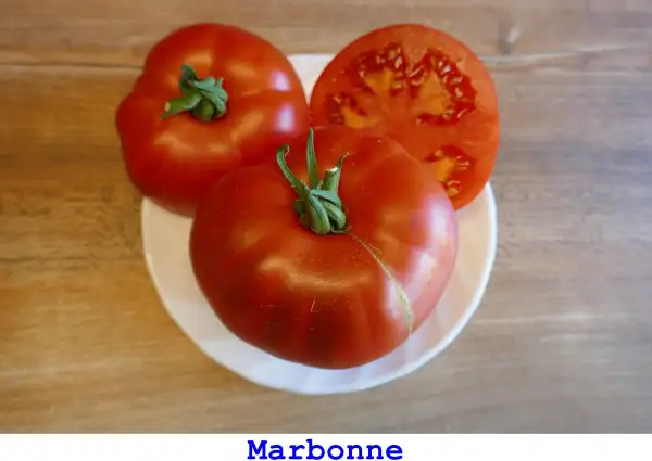 Tomaten: Marbonne