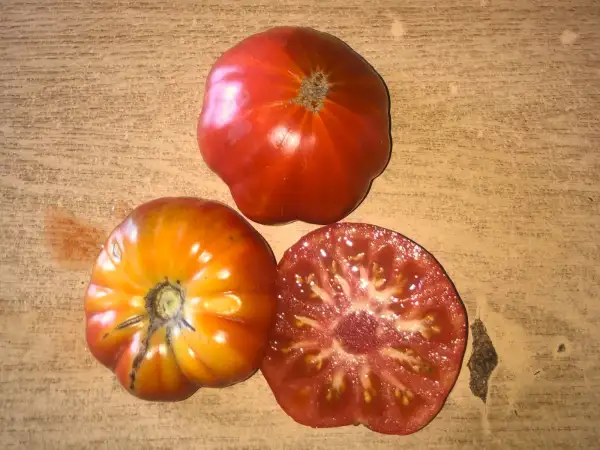 Tomaten: Marché de Samarkand