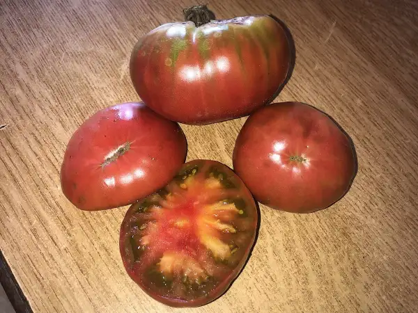 Tomaten: Marcia