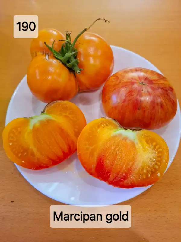 Tomaten: Marcipan gold