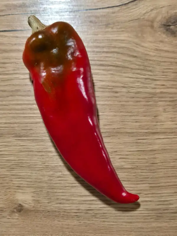 Chili / Paprika: Marconi