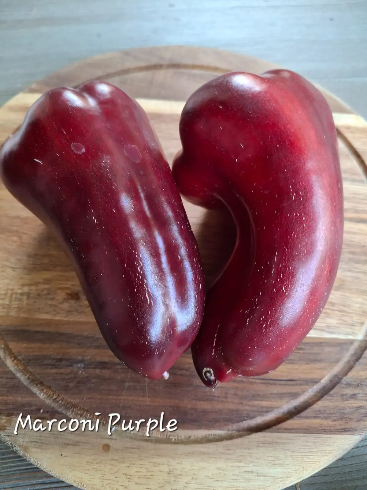 Chili / Paprika: Marconi purple