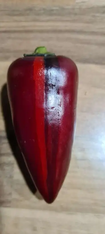 Chili / Paprika: Marconi rot