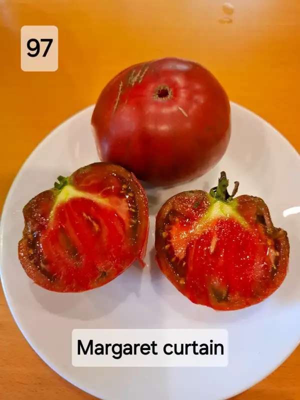 Tomaten: Margaret Curtain