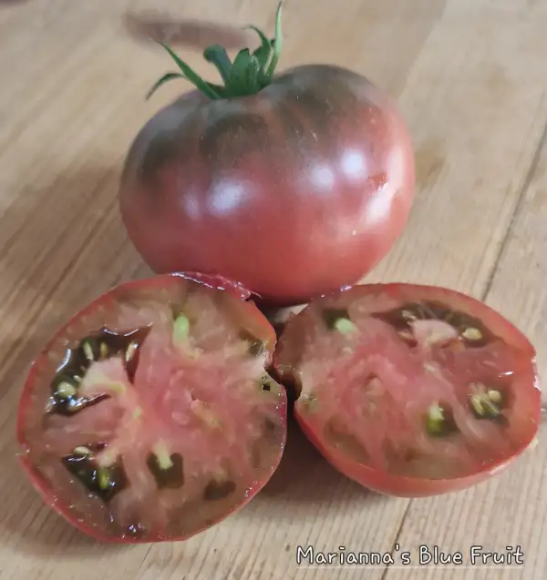 Tomaten: Marianna