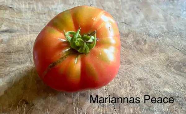 Tomaten: Mariannas Peace