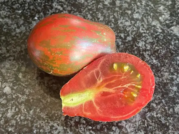 Tomaten: Maritime Bells Dwarf