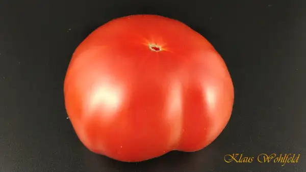 Tomaten: Marmande