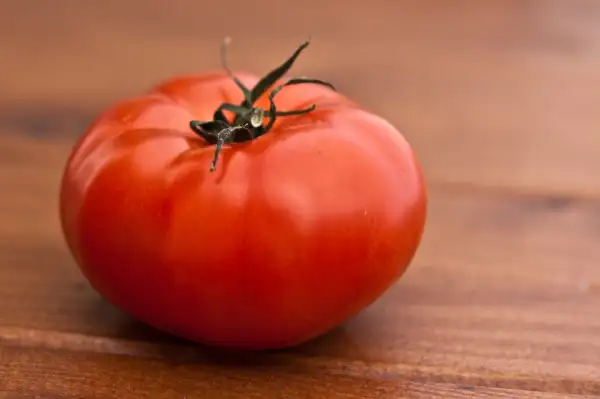 Tomaten: Marmande