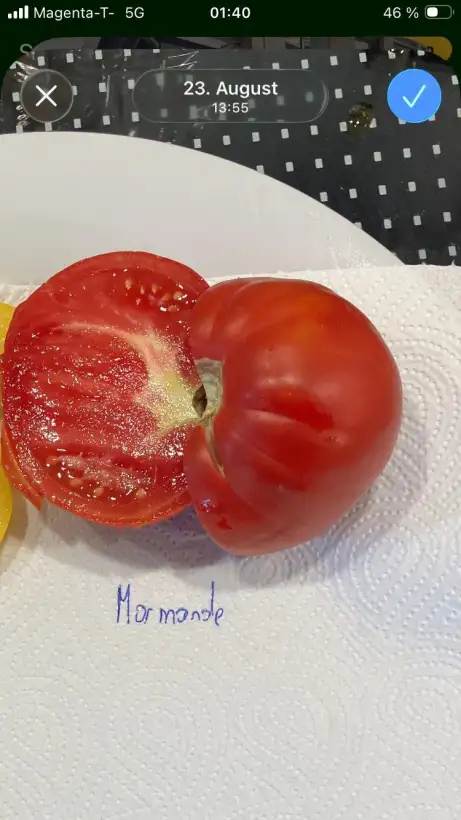 Tomaten: Marmande