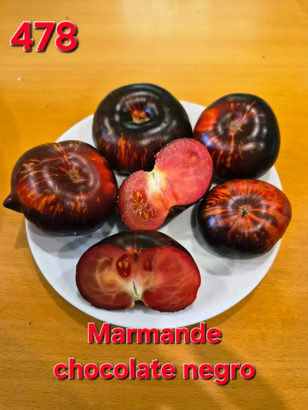 Tomaten: Marmande chocolate negro