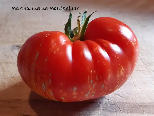 Tomaten: Marmande de Montpellier