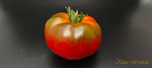 Tomaten: Marmande Sweet Adora