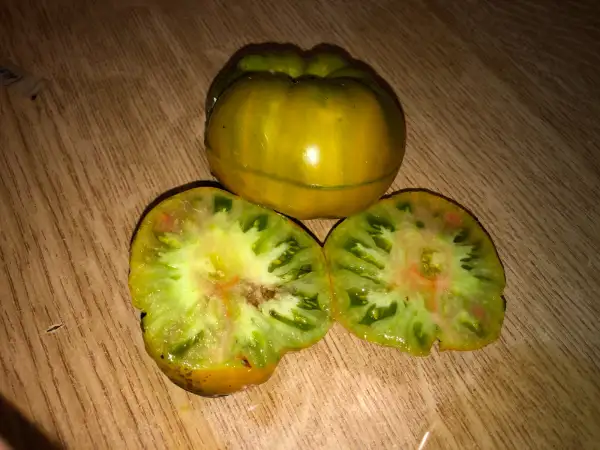 Tomaten: Marmande Verte