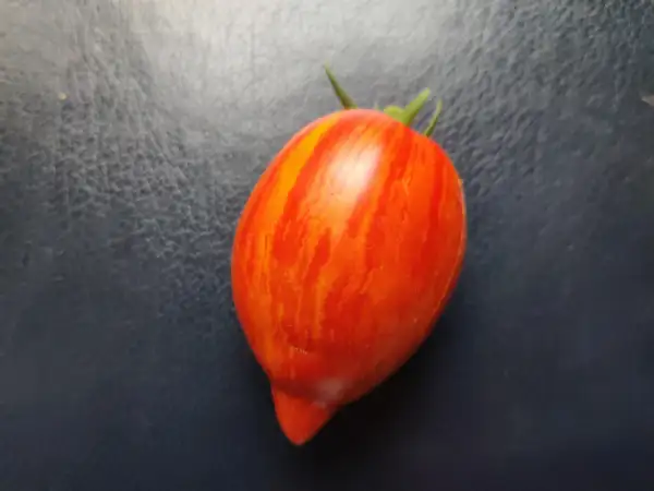 Tomaten: Marmorossa