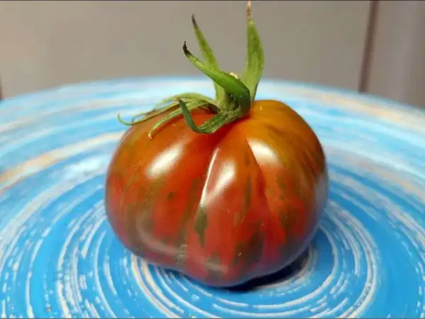 Tomaten: Marone Bella