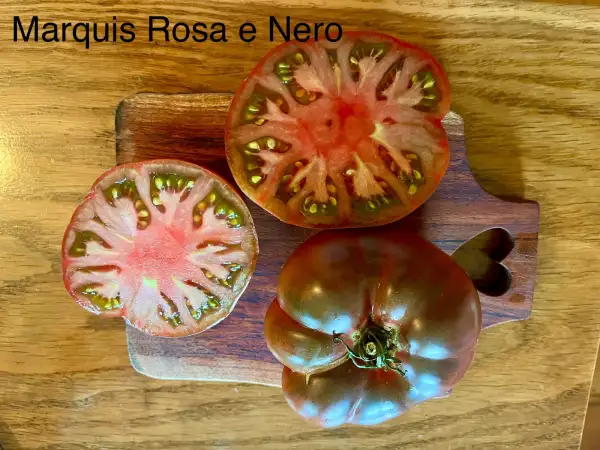 Tomaten: Marquis Rosa e Nero