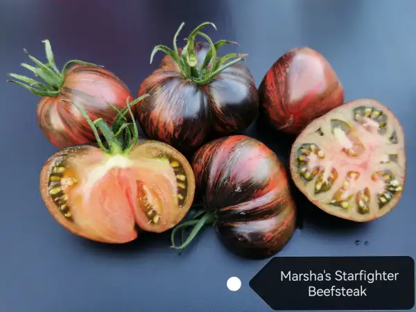 Tomaten: Marsha´s Starfighter Beefsteak
