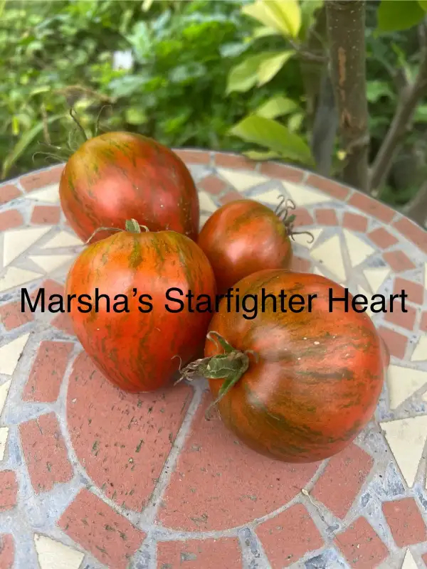 Tomaten: Marsha‘s Starfighter Heart